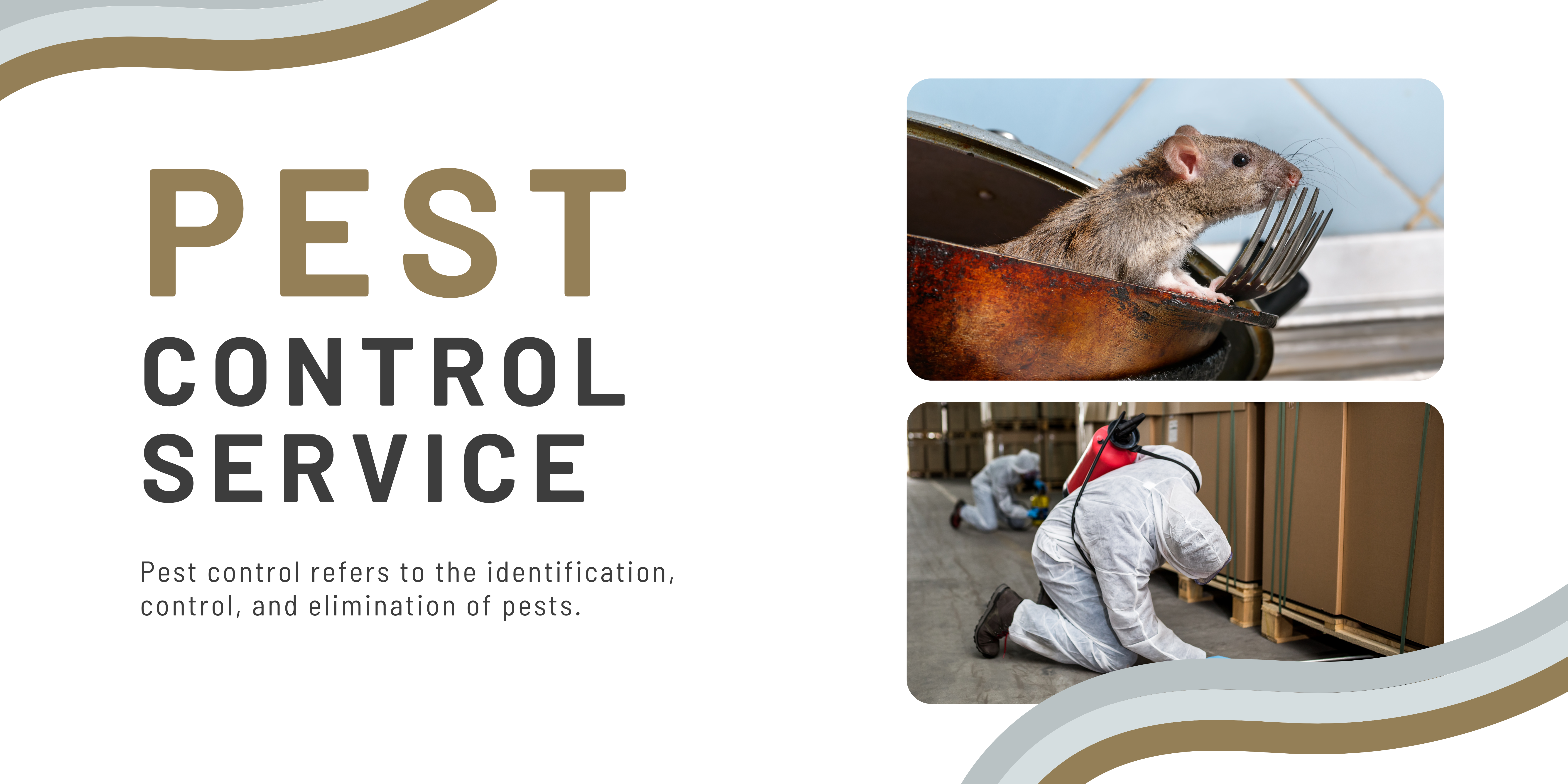 Pest Control Service Done By Trained Man